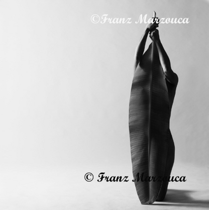 Franz Marzouca's Covered Nude Print #2